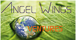 Angel_Wings_Ventures1